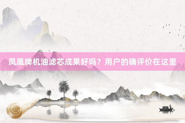 凤凰牌机油滤芯成果好吗？用户的确评价在这里