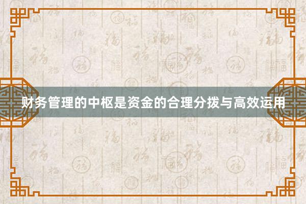 财务管理的中枢是资金的合理分拨与高效运用